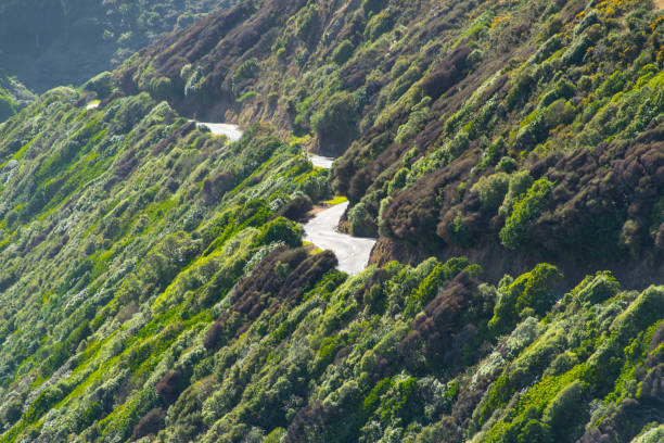 istock Paekakariki Hill Road 2155238557