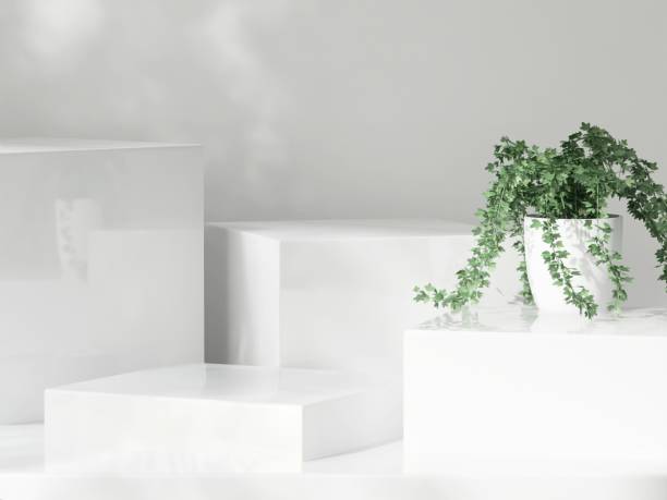 istock Four modern white geometric cuboid podium, green plant in pot in dappled sunlight, leaf foliage shadow 2155240957