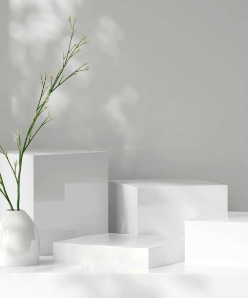 istock Four modern white geometric cuboid podium, green plant in pot in dappled sunlight, leaf foliage shadow 2155240962