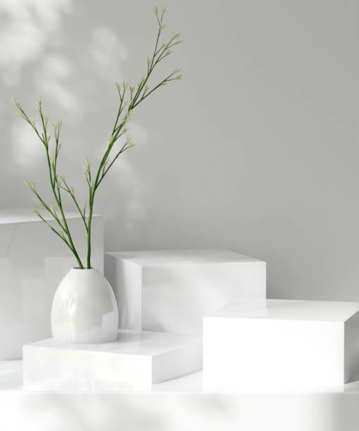 istock Four modern white geometric cuboid podium, green plant in pot in dappled sunlight, leaf foliage shadow 2155240964
