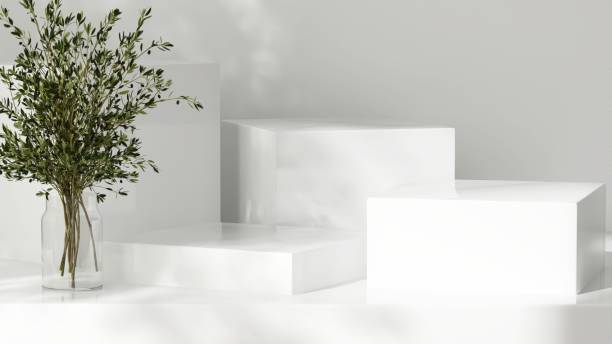 istock Modern white geometric cuboid podium, tree in glass vase in dappled sunlight, leaf foliage shadow 2155240967
