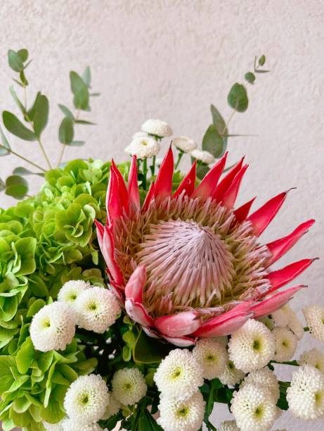 istock Bouquet of protea, chrysanthemum, green hydrangea and eucalyptus on the white background 2155241856