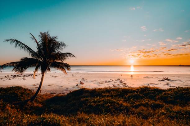 Palm Tree on Sandy Cable Beach at Sunset Broome Western Australia Kimberley Outback