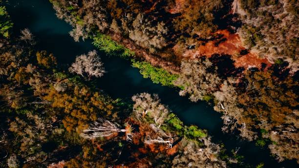 istock River Surrounded by Trees and Red Rocks Kimberley Western Australia Waterhole Outback Desert 2155242184