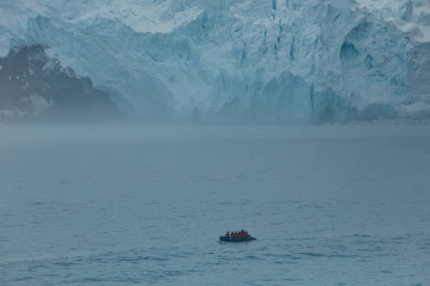 istock Point Wild at Elephant Island, Antarctic 2155243014