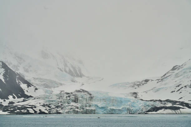 istock Cape Lookout at Elephant Island, Antarctic 2155243032