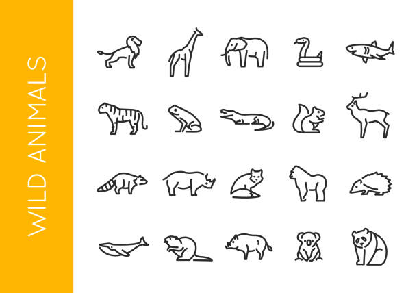 ilustrații de stoc cu set de icoane animale sălbatice 20 - animal în sălbăticie