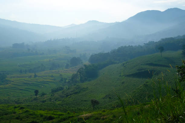 The silhouette of Mount Manglayang when the weather is foggy. Textured Background of Mountains. Graphic Resources. Industry Agricultural Photography. Panoramic landscape. Nature Photography Concept.