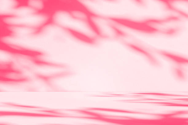 istock Wall interior background, studio and backdrops show products.with shadow from window color pink . background for text insertion and presentation product 2155248130
