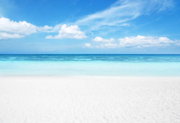istock Exotic tropical white sand beach and blue clear sky scene for background or wallpaper 2155249500