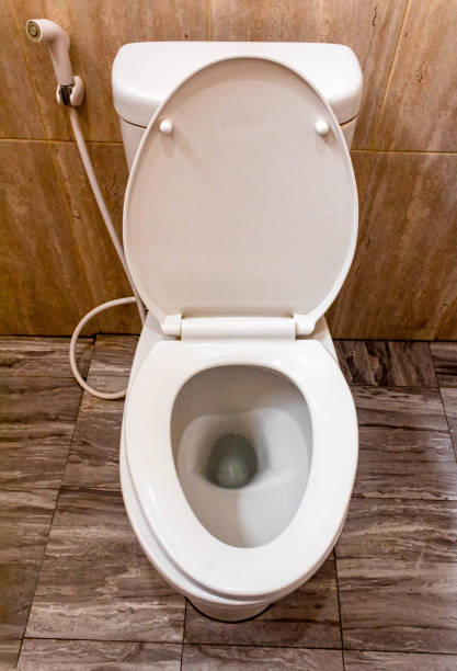 istock White toilet bowl in the bathroom 2155253927