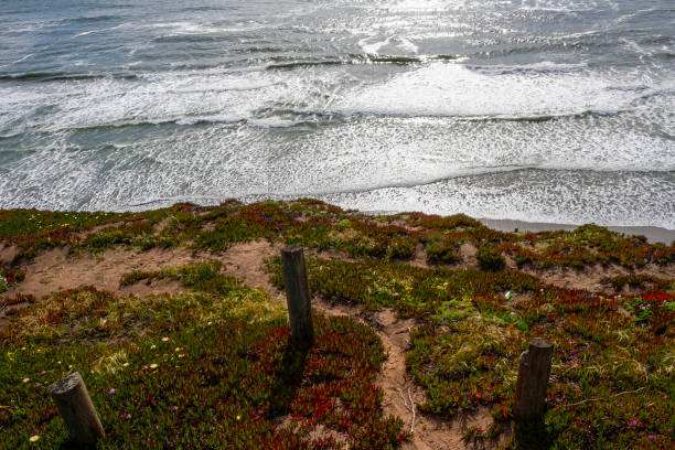 istock Funston Beach, San Francisco, California, USA 2155253985