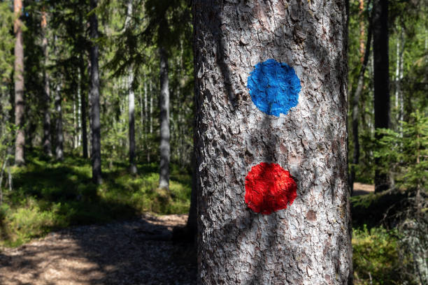 Hiking route marks in Pilpasuo swamp in Oulu, Finland