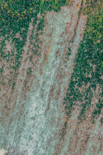 Water flowing through the green riverbed in nature