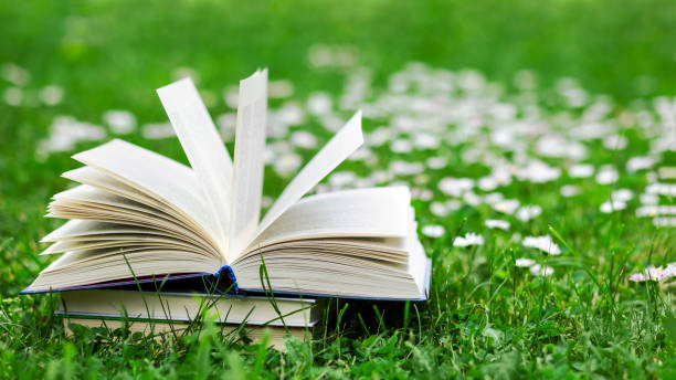 istock Open Book on Green Grass with Flowers 2155258300
