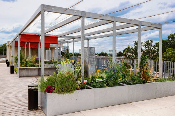 istock Pergolas Awning in Garden Roof 2155259282