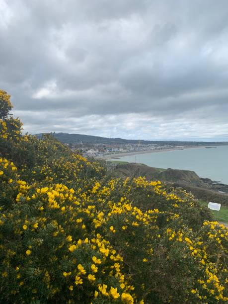 istock View of Bray, Ireland 2155260293