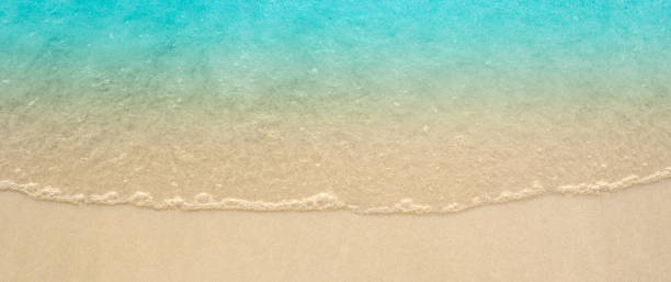 praia de areia molhada, close up,topview - sea foam beach - fotografias e filmes do acervo