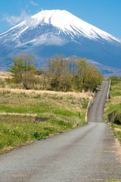 istock Road to Mt.Fuji in early summer 2155261145
