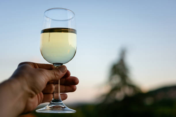 istock Glass whit white wine in human hand 2155261275