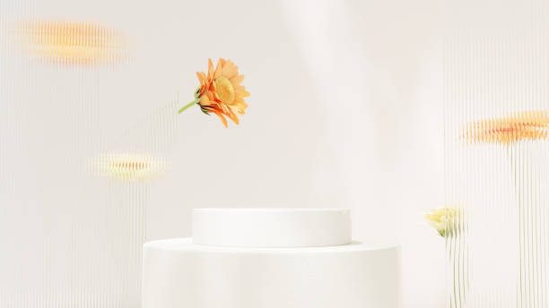 istock Background 3D rendering minimalist white podium and chrysanthemum flower for product presentation in landscape 2155261461