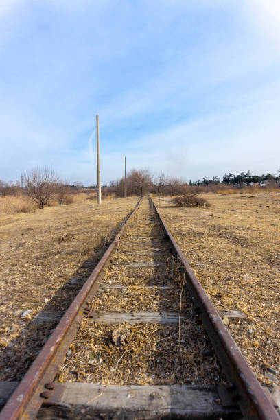 istock Old rusty railway rails go into perspective. The pillars are on the right edge. Yellow grass, bushes and blue sky 2155264088