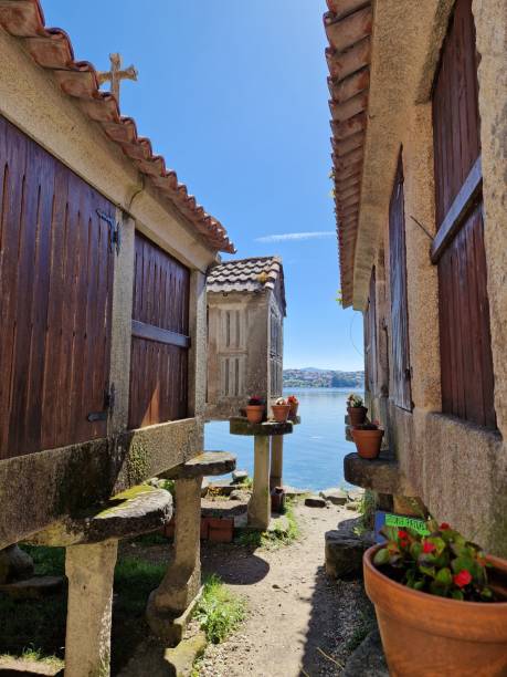 Horréo in Combarro, Galicia, Spain - typical traditional grain barn (granary) of the region Horréo in Combarro, Galicia, Spain - typical traditional grain barn of the region - cheerful, colorful flower pots surrounding series of horréos spanish flower pots stock pictures, royalty-free photos & images