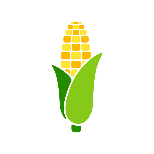 Simple corn vector icon illustration Simple corn vector icon illustration corn stock illustrations