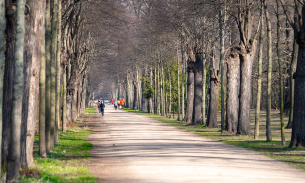 Germany, Berlin, Charlottenburg, May 05, 2024 - Medium group of people walking in a park