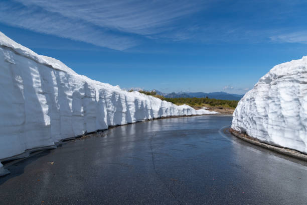 Snow wall stretching along the road on Mt. Norikura