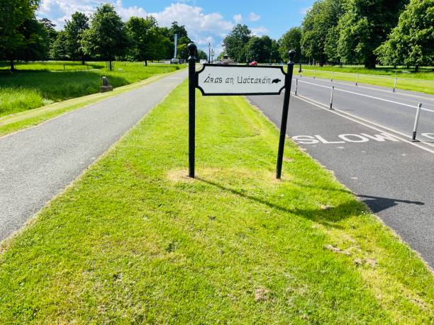istock Directional sign in the park 2155275929