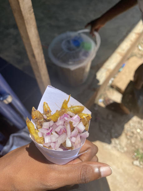 istock African food delicacies (Grasshoppers) 2155276315