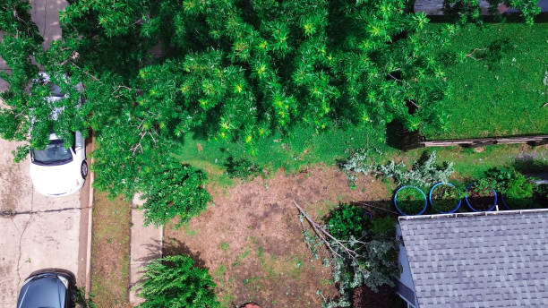 istock Residential street parked car aftermath of severe thunderstorm with downed branches, fallen limbs front yard in Dallas, Texas, home insurance claim, storm debris clean up removal, aerial view 2155277406