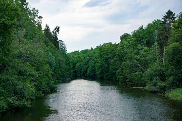istock Scenic view of a river thought the forest 2155278641