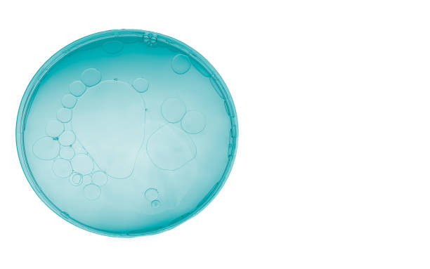 istock Petri dish and pale blue liquid, cosmetic on white background. 2155279636