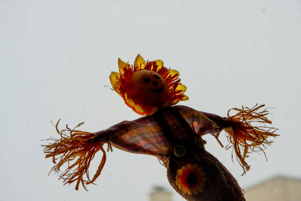Summertime scarecrow in meadow
