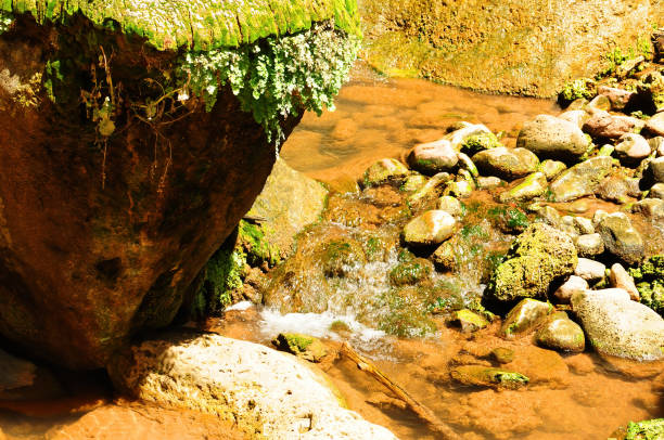 Mazzano Romano, Rome, Lazio, Italy:Monte Gelato Waterfalls