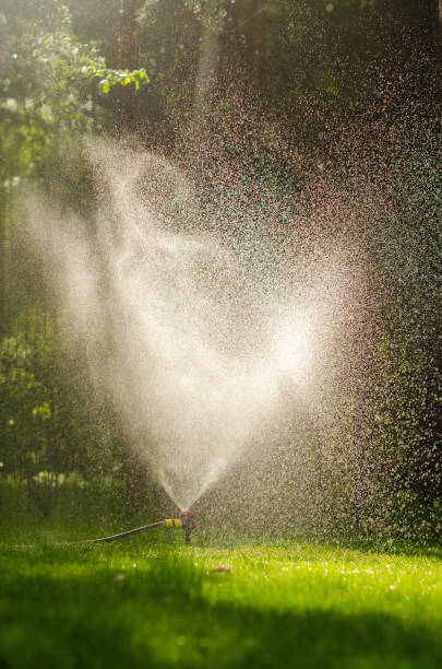 istock Watering garden with a hose at heat summer. Close up. Automatic smart irrigation system. 2155288130