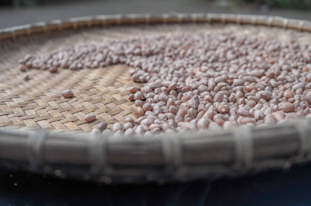 Peanuts are being dried in the sun on woven bamboo