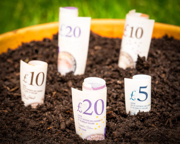 istock Investing - Cultivating Cash 2155295102