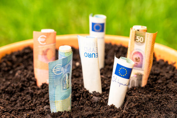 istock Unusual investments - Euros in soil 2155295120