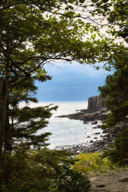 istock A hole in the trees in Acadia National Park 2155296189