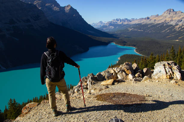 istock Woman hiker at Peyto Lake. 2155296680