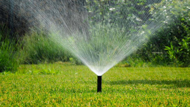 istock Sprinkler system watering a well-kept green lawn on a clear day. 2155296992