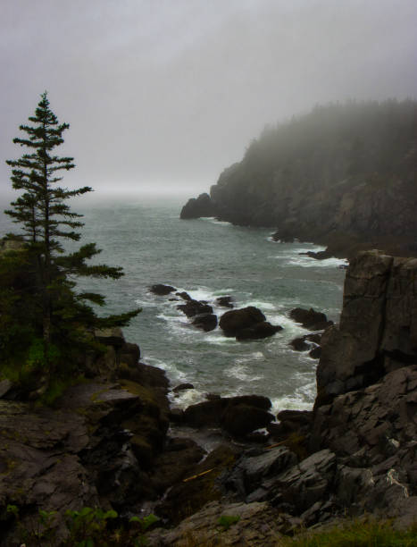 istock Mist along the Maine coastline 2155297010