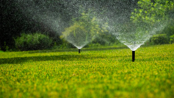 istock Sprinkler system spraying water over a vibrant green lawn on a sunny day. 2155297431