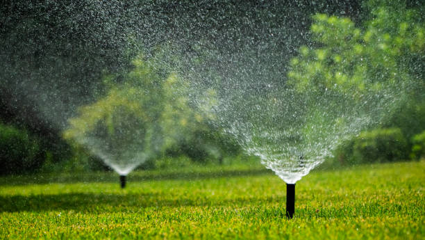 istock Sprinkler system irrigating a green lawn with a fine mist of water. 2155297555