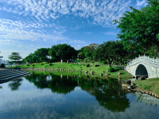Bridge Ladder Lake in the Park