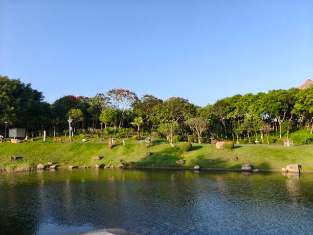 istock Rivers, lawns, trees and sky in the forest 2155302823