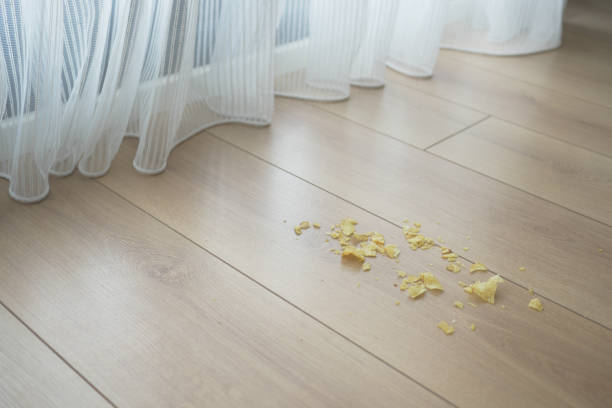istock Dirt and dust on wooden floor 2155315973